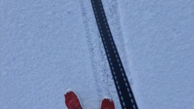 Сэми и Бэки / Зимняя прогулка / Снег!