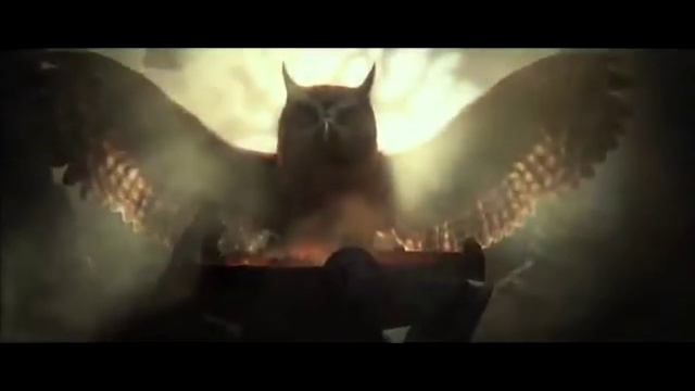 Owl City - To The Sky with 'Legend of the Guardians' Trailer смотреть онлайн