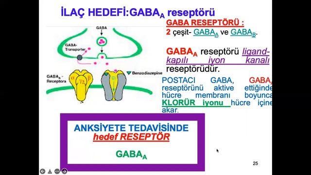 ANKSİYETE-2: GABA Eksikliği Ve İlaçlar