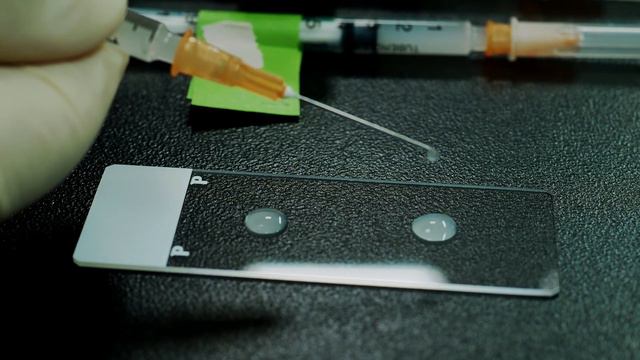 金魚の発生学実験＃02: 人工授精: Artificial Fertilization: Ver 2.0: 20220509Ver смотреть онлайн