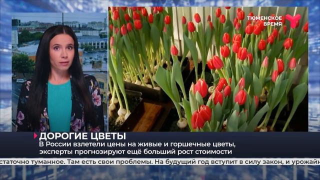 В России подорожали импортные цветы на 30 % смотреть онлайн