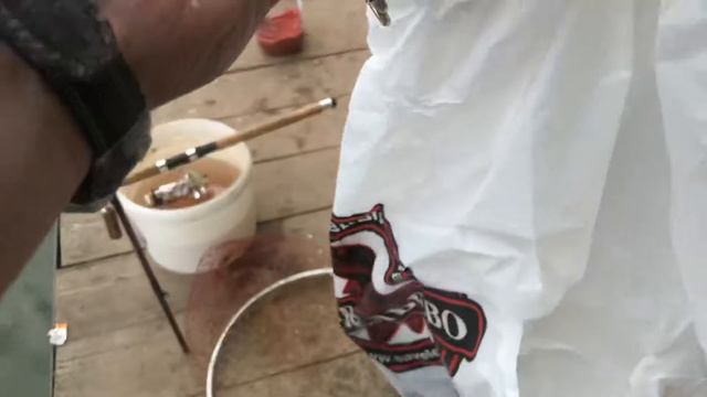 23.05.18 думали трофейный карп, на нет) смотреть онлайн