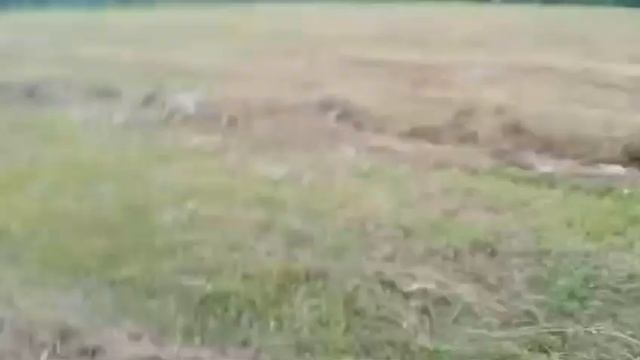 Отзыв о рулоннике ПР-150М и граблях-ворошилках смотреть онлайн