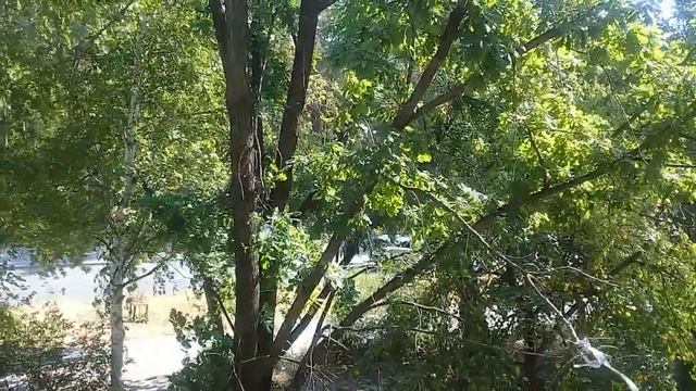 Самвел открывает канал своему ОТЦУ / Жизнь Татьяны Васильевны !!! смотреть онлайн