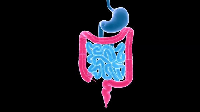 Мой самый любимый рецепт! Как быстро избавиться от запора смотреть онлайн