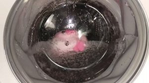 Experiment - Overfilled  with Water and Door Opening - Washing Machine
