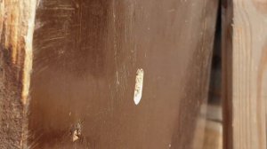 МОЩНАЯ пневматическая винтовка Stoeger X50