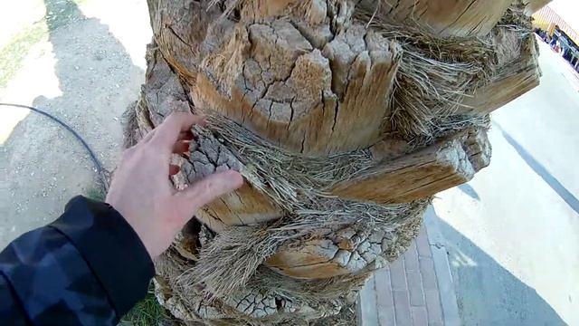 Тест экшн камеры Eken H9 4K / Test Action Camera Eken H9 4K full hd 1920x1080 60fps palma israel смотреть онлайн