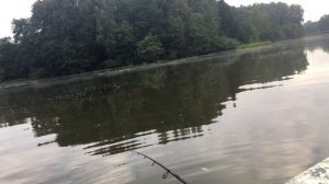 Рыбалка Тишково Спиннинг|Утренний Клёв|На Вертушку #тишково#рыбалка#окунь#утреннийклёв#спининг