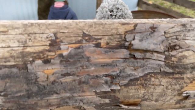 ПОРА ЭТО ЗАКАНЧИВАТЬ! СТРОЙКА! ДЕРЕВЕНСКИЕ БУДНИ! НАША ФЕРМА! ЖИЗНЬ ПРОСТЫХ ЛЮДЕЙ В ДЕРЕВНЕ! смотреть онлайн