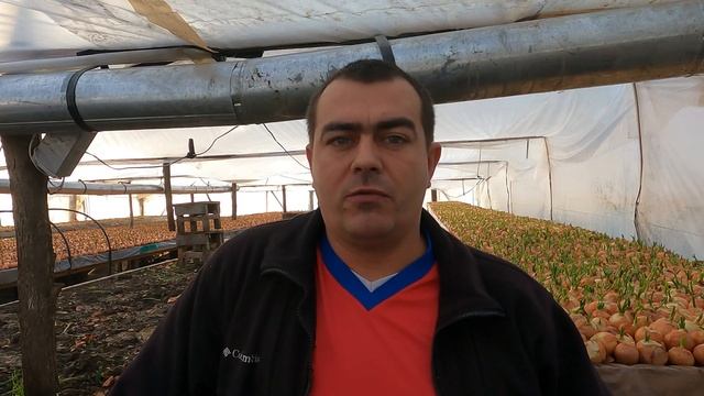 А ВЫ ЗНАЕТЕ КАКАЯ НУЖНА ТЕМПЕРАТУРА ДЛЯ ВЫГОНКИ ЛУКА НА ПЕРО? смотреть онлайн