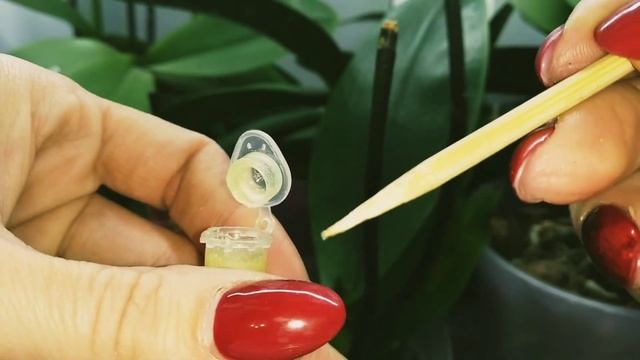 ЦИТОКИНИНОВАЯ ПАСТА!!! Стоит ли ЭТОГО бояться? смотреть онлайн