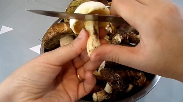 Как почистить и заморозить лесные грибы. смотреть онлайн