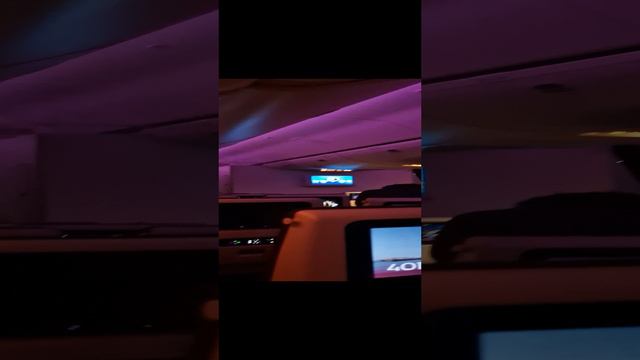 1000006493.mp4 смотреть онлайн