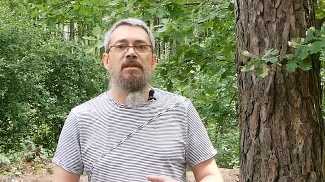Вредный Миф про ЭГО!!! смотреть онлайн