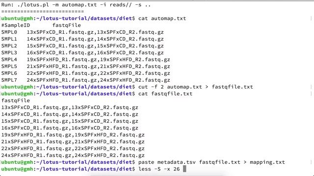 Running Lotus 1.6 смотреть онлайн