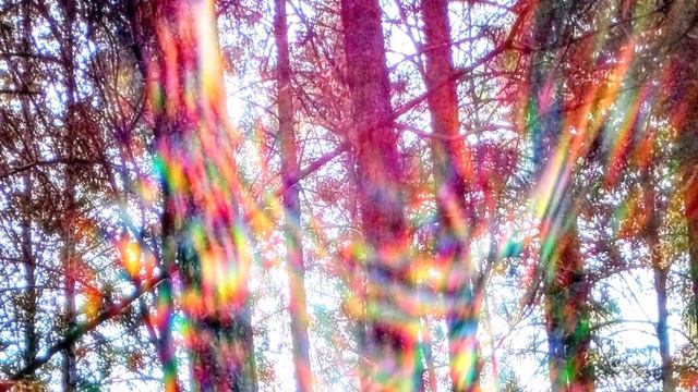 ДВЕ РЕАЛЬНОСТИ. «РУДИМЕНТ» ЧЕЛОВЕЧЕСКОЙ ПСИХИКИ. смотреть онлайн