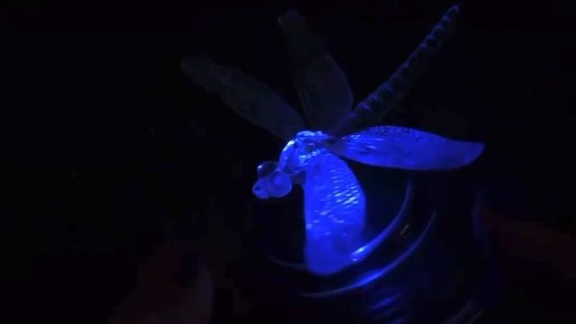 Плавающий садовый светильник на солнечной батарее USL-S-106/PT075 Magic dragonfly смотреть онлайн