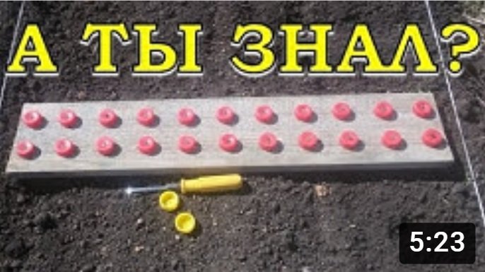 Хитрости при выращивании РЕДИСКИ???