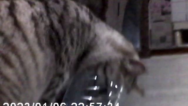 Кивок рыболовный своими руками смотреть онлайн