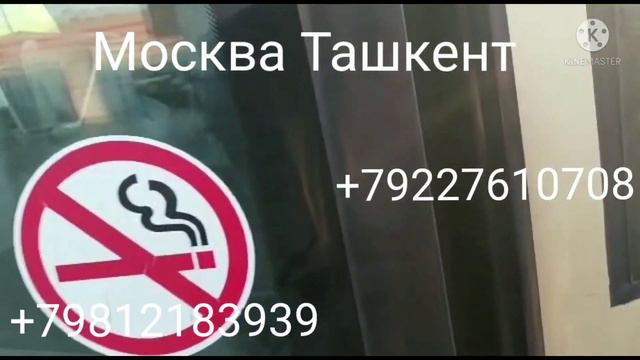 #москва #ташкент #санктпетербург #ташкент #автобус #москва ташкент такси смотреть онлайн