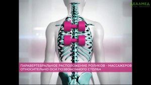 Установка Ормед Профилактик роликовый массаж и вытяжение позвоночника