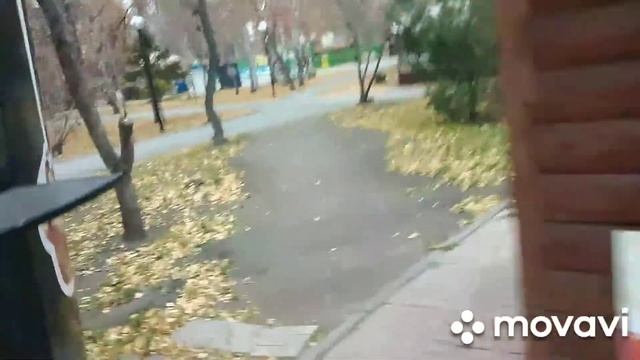Vlog: короткий день в парке смотреть онлайн