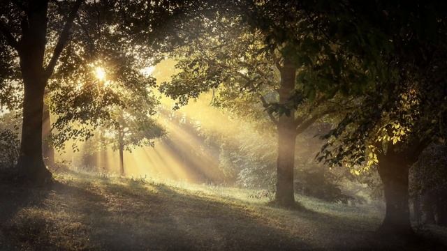 Истории копателей. Мистика на копе (4в1) Выпуск №1. смотреть онлайн