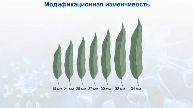 Преподаватель - Ерболатова А. смотреть онлайн