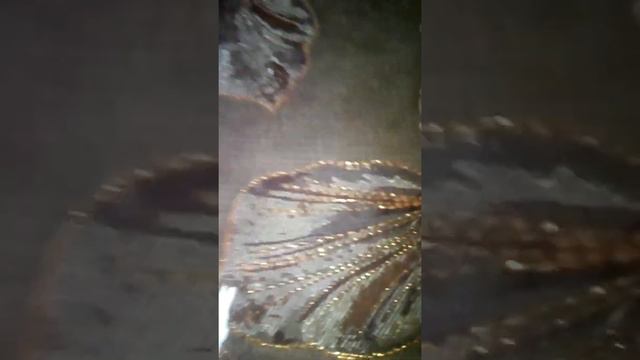 Письмо то сестры. Шок она из Магнитогорска "БУМАЖКИ ТВ,, смотреть онлайн