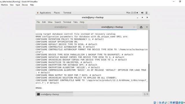 How to backup Oracle database in 2022! смотреть онлайн