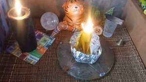 Очищаем питомца от негативной энергии???? #ритуалчистка #ритуал #чистка