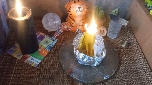 Очищаем питомца от негативной энергии???? #ритуалчистка #ритуал #чистка