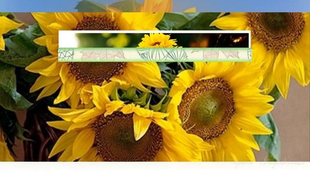 #ЦВЕТОК_СОЛНЦА_автор_видео_ИРИНА_КЕРЕКЕЛИЦА смотреть онлайн