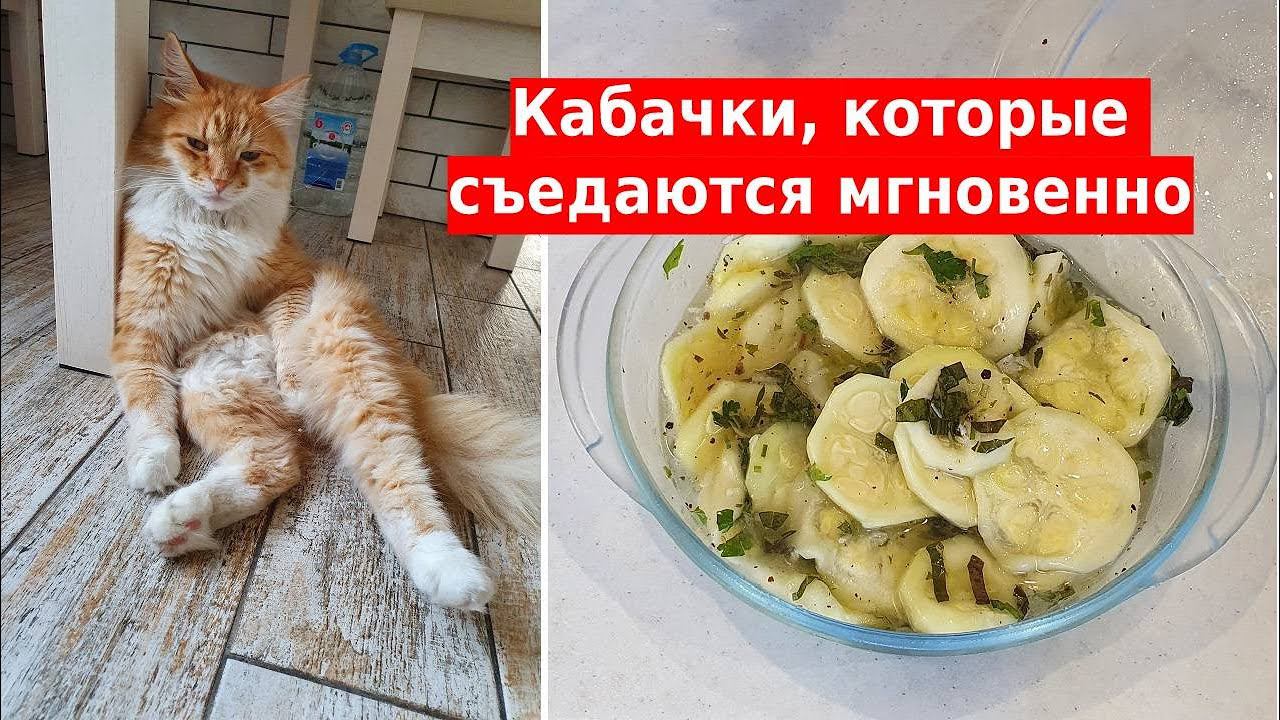 Кабачки съедаются мгновенно. Экспресс вариант приготовления закуски из кабачков смотреть онлайн