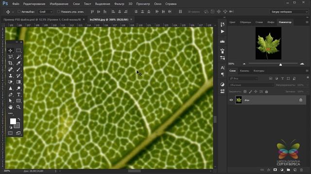 Фотошоп с нуля. Урок 4 - Открытие файлов. Горячие кнопки и основы навигации в Adobe Photoshop CC. смотреть онлайн