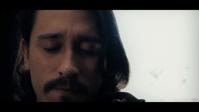 The Swan - Violin in social isolation смотреть онлайн