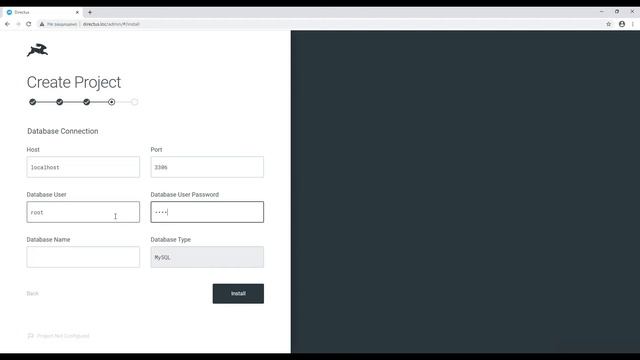 Установка Directus Headless CMS & API