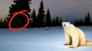 Айсберг polar bear 2026 (медведь 2026) что он скрывает? теории и тайны