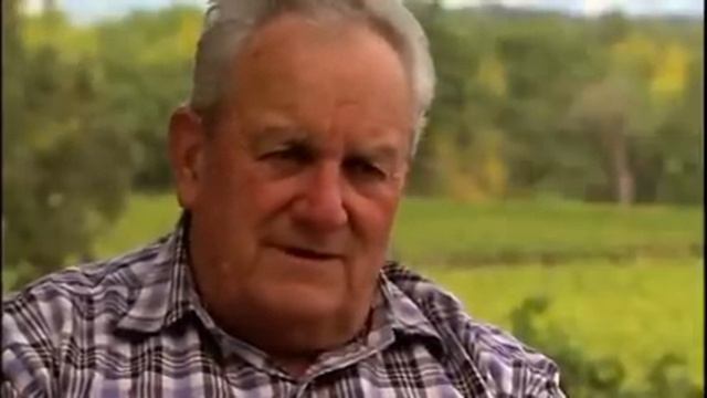 Rochioli Vineyard смотреть онлайн