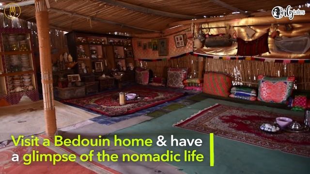 Desert Nights Camp in Oman is The Ultimate Arabian Adventure | Curly Tales смотреть онлайн