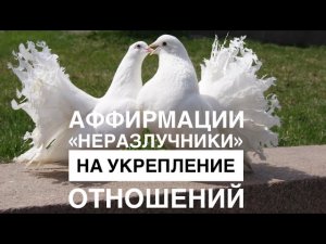 💕🕊️АФФИРМАЦИИ «НЕРАЗЛУЧНИКИ» ДЛЯ УКРЕПЛЕНИЯ ОТНОШЕНИЙ💕🕊️ #счастьеесть #аффирмации