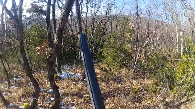 chasse a la bécasse avec mon setter anglais смотреть онлайн