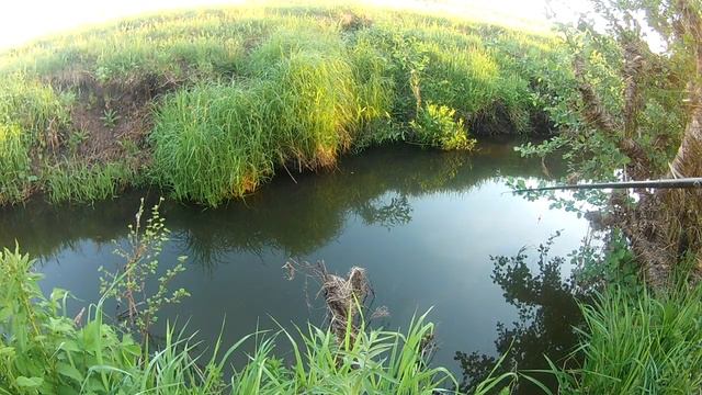 Голавль в мае на малых речках! смотреть онлайн