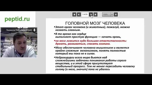 Вэбинар Мозг. Гипоталамус. Гипофиз. Церлутен. Пинеалон. смотреть онлайн