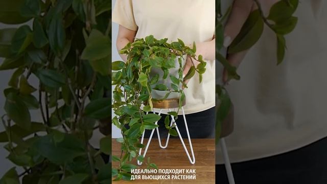 ilwi Подставка для цветов на подоконник металлическая из массива дерева лофт смотреть онлайн