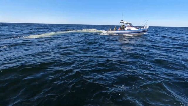 Морская рыбалка и треска смотреть онлайн
