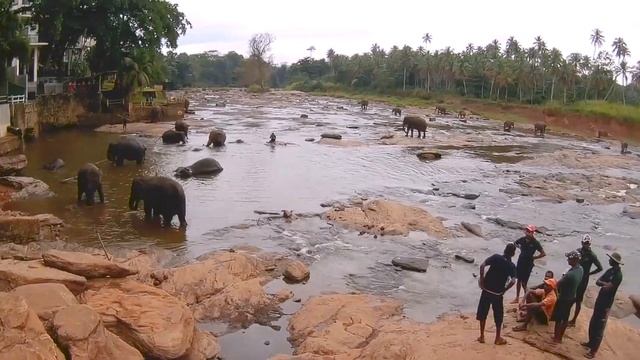 Шри Ланка Sri Lanka. Прекрасный остров Цейлон зимой. Путешествие по острову за 4 минуты)) смотреть онлайн
