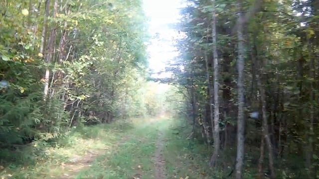 Дорога с хутора на машине (времени) смотреть онлайн