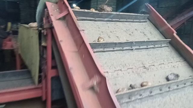 VID_20231023_090801 смотреть онлайн